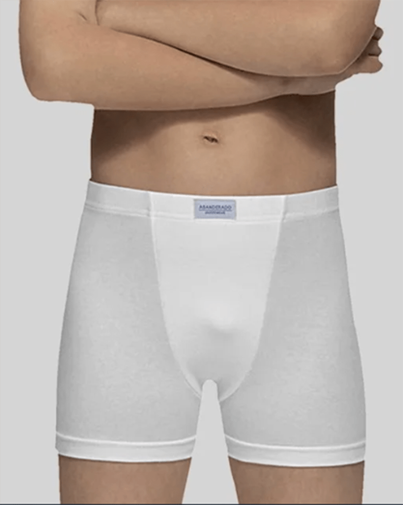 Boxer de niño abanderado 8963